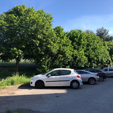 M&M I Navicelli Lägenhet Livorno Exteriör bild